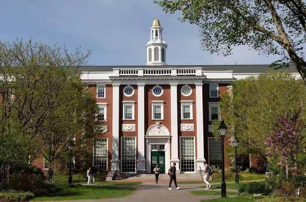 开年就炸了？荷兰莱顿大学的全球科研排名出炉了，浙大直接碾压哈佛登顶第一，哈佛反倒