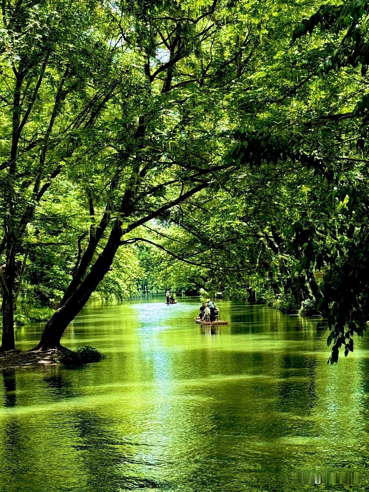 仙到不能再仙的仙境，超越北欧，媲美漓江，不是缙云，就在黄山单单是那醉人的绿，就