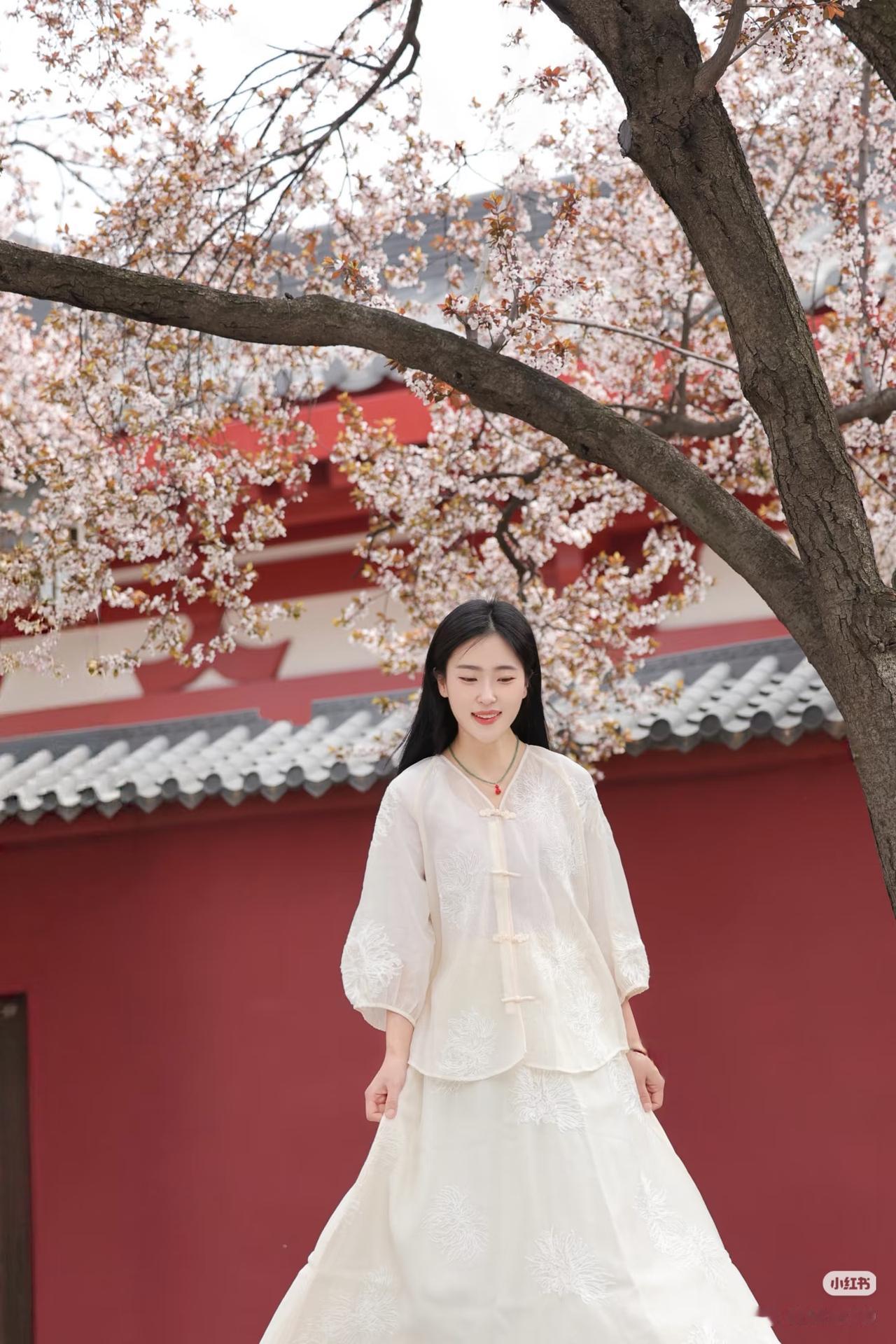 樱花树下美人笑，古风犹存意蕴长。