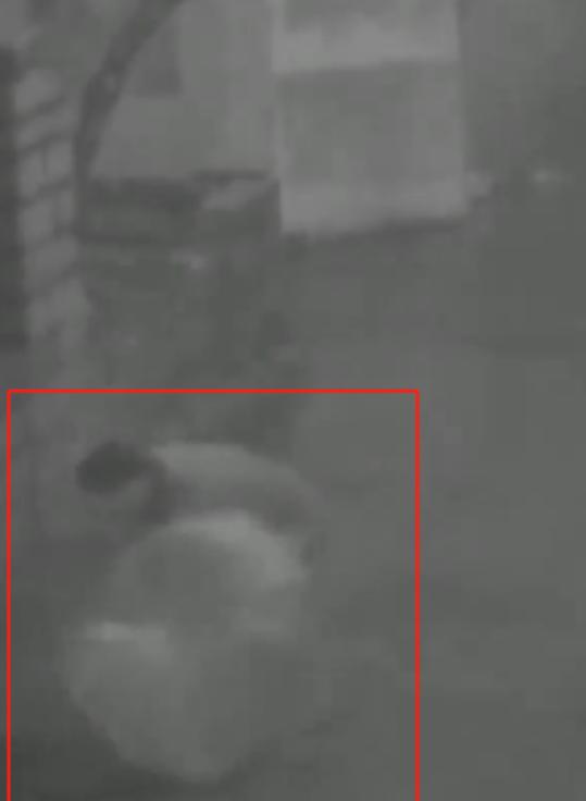 2013年冬天，1米5高的湖南富婆，被朋友硬生生塞入3米高的下水道。她把衣服逐一