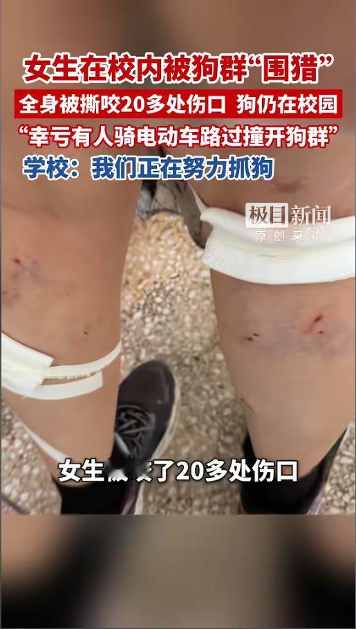 “悲剧还是发生了！”近日，河南平顶山，一大三女生从图书馆步行回宿舍，经过一路口时