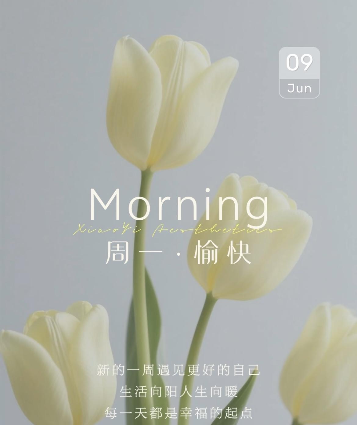 #星座运势#6.9运势来噜，请对号入座：第一位金牛座：轨道修正成功！按部就