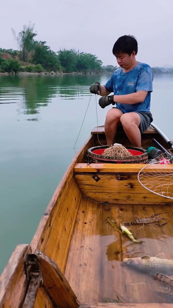 今天黄辣丁很多，买的几只罗氏虾。