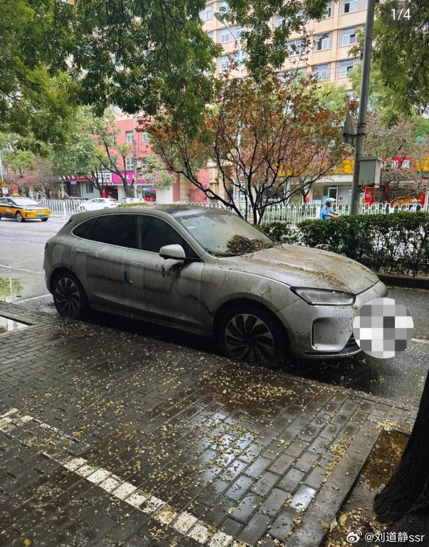 这车停了这么久，还有必要留着嘛[捂脸哭]​​​