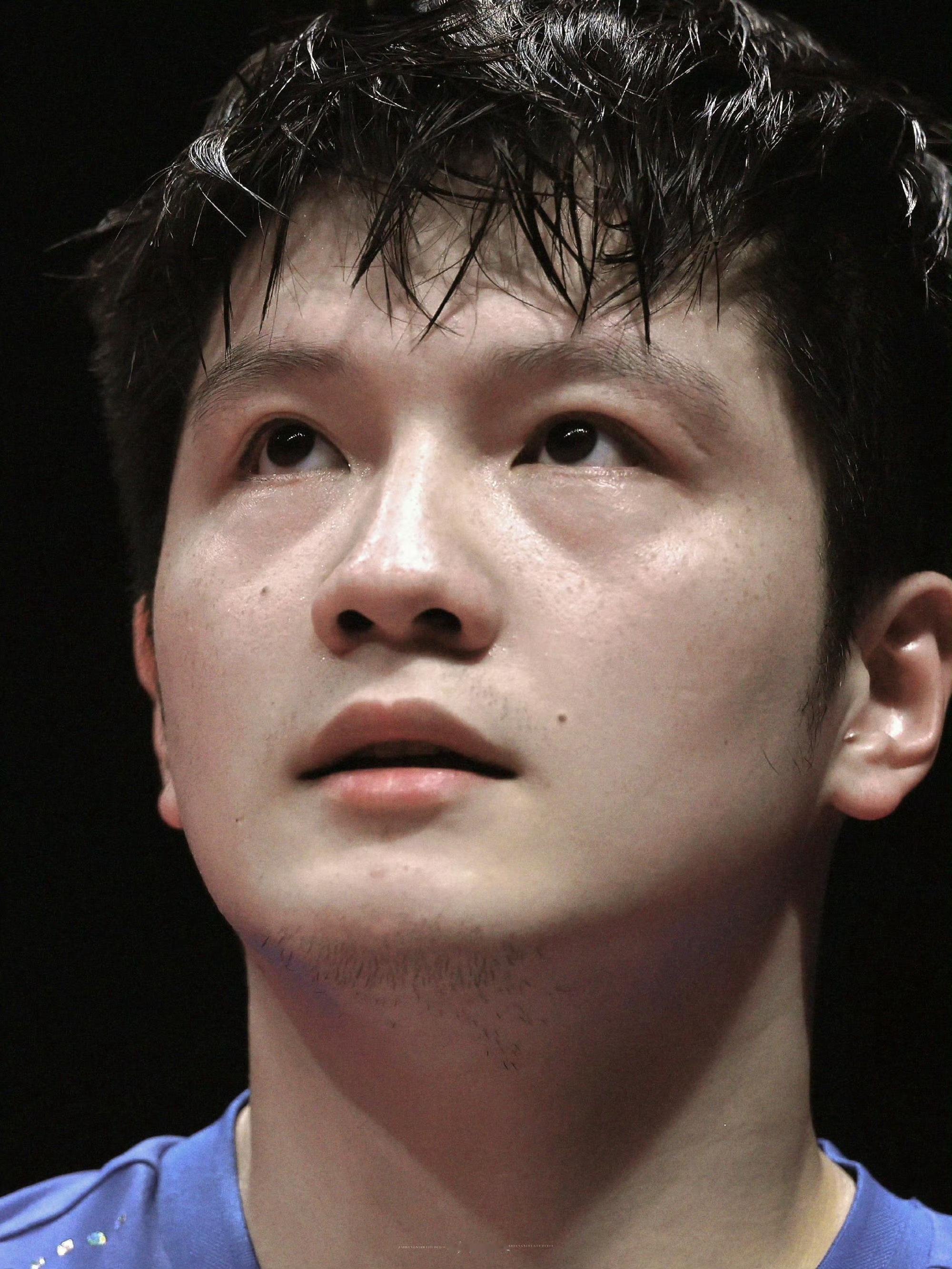 樊振东扛下了伤病的折磨、舆论的压力、自我的怀疑，把所有苦难都熬成了前行的力量。金