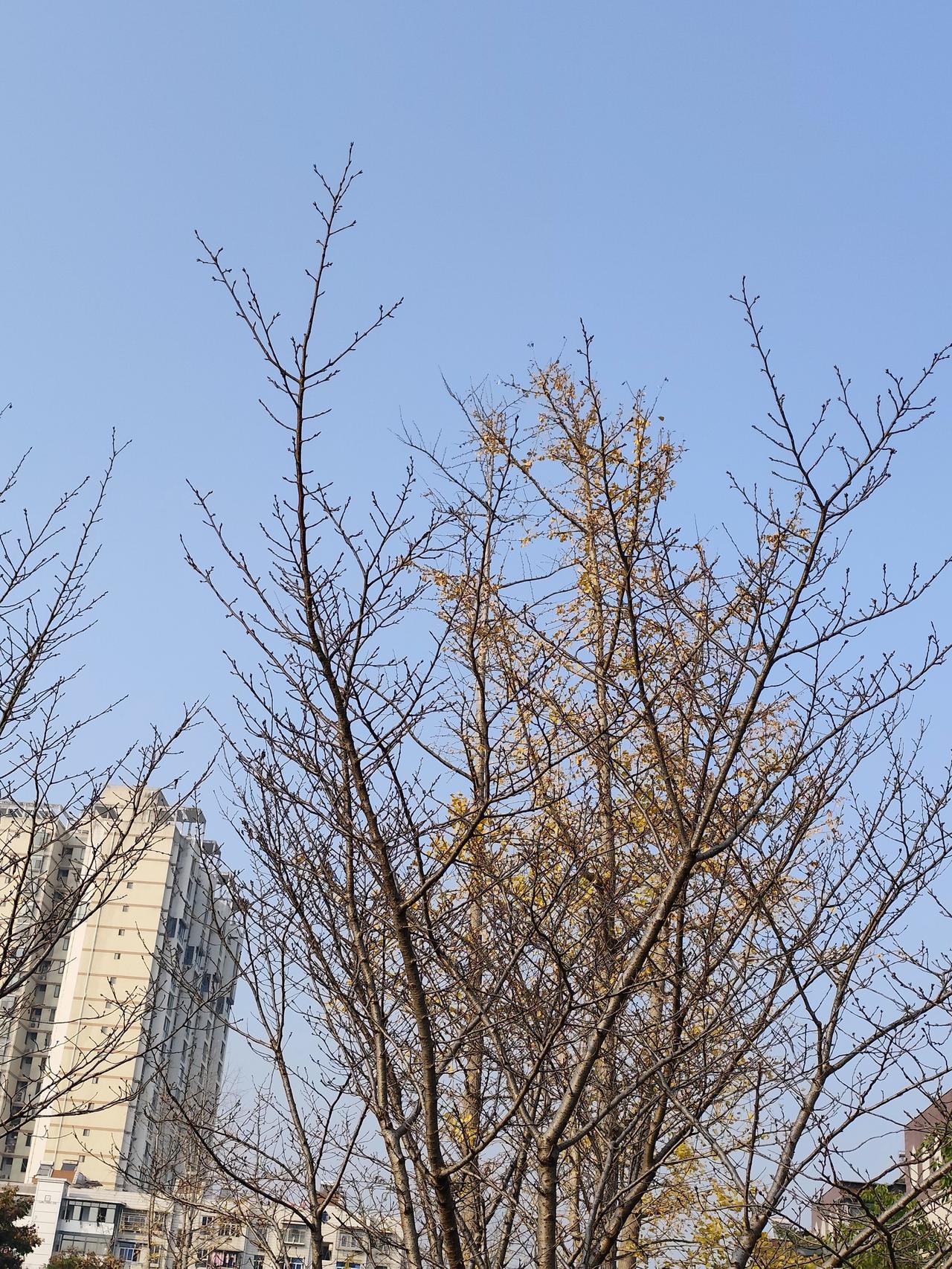 一个远房亲戚早年是激光物理方面研究的，不知怎的被调到某省国家级药物研究所，大概是