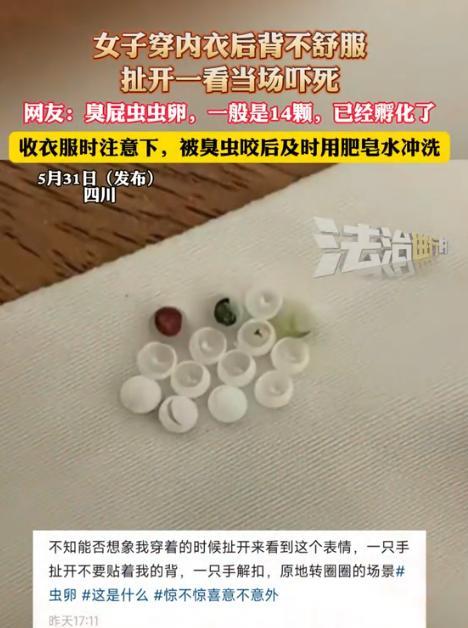 “太恶心了！”6月1日报道，四川，一女子起床穿内衣，结果，却总感觉扣不舒服，她将