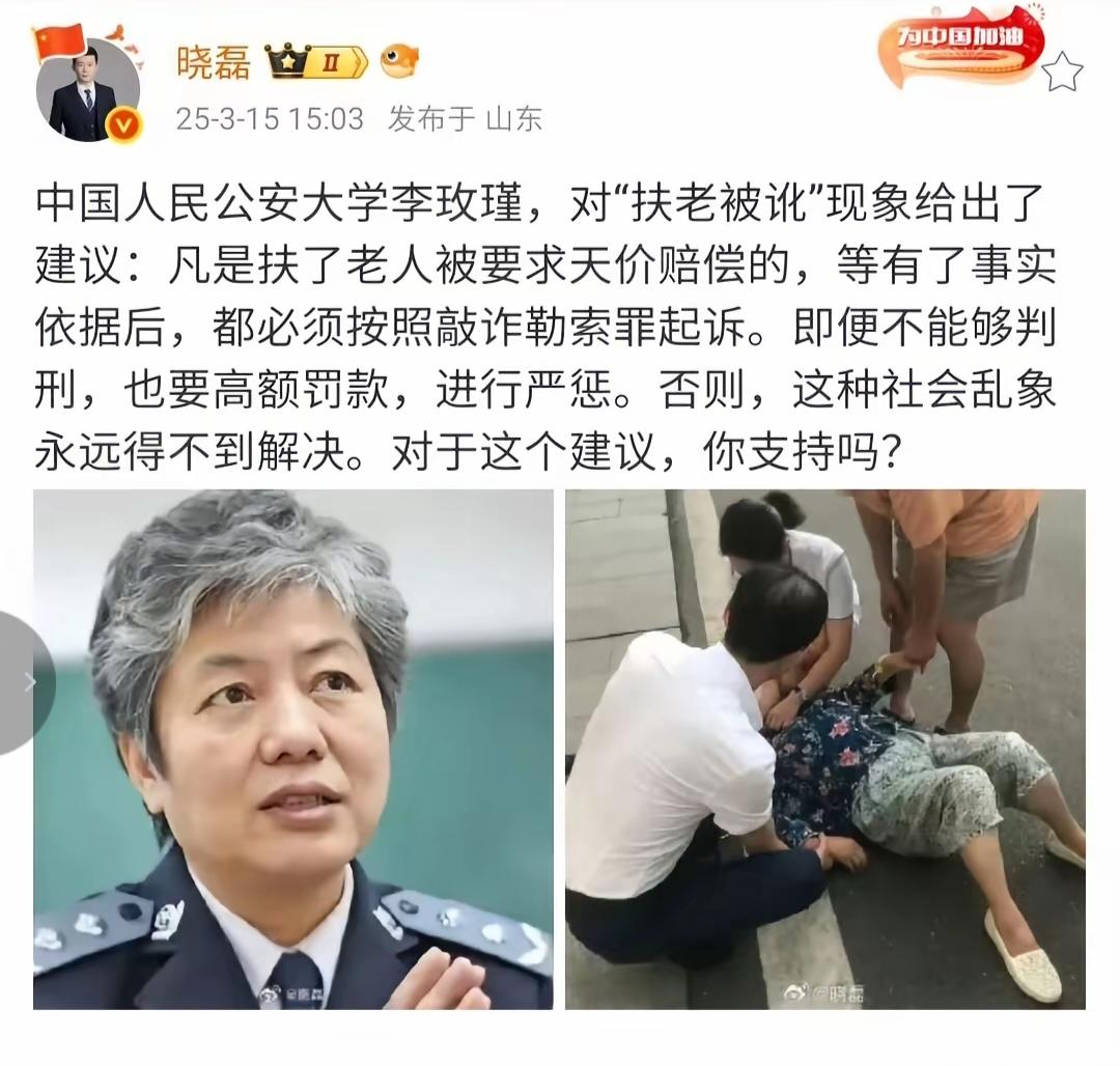 中国人民公安大学的李玫瑾早就给出了扶靠被讹的解决建议，她说，凡是扶了老人被要求天