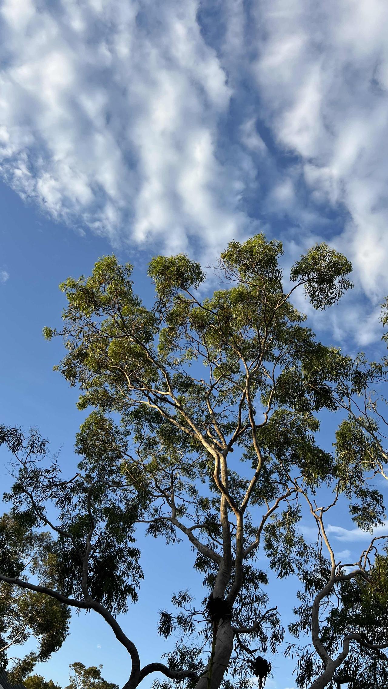 如果没有人类，宇宙是否还有存在的意义，这真是个烧脑的问题。著名哲学家笛卡尔说“我