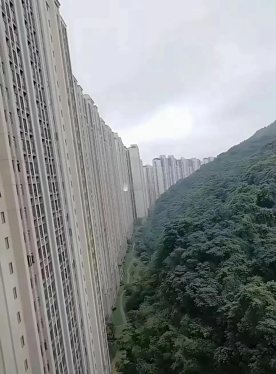 这是贵州哪个小区，不知道入住率怎么样