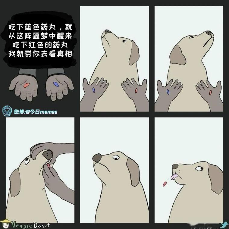 尼呕（Kantieno）今日meme今日memes​​​