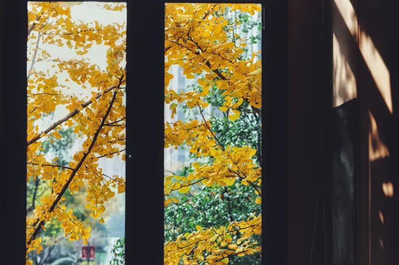 看到“窗含春夏秋冬景”这个上联，瞬间就觉得韵味十足。窗户仿佛是一个取景框，装下了