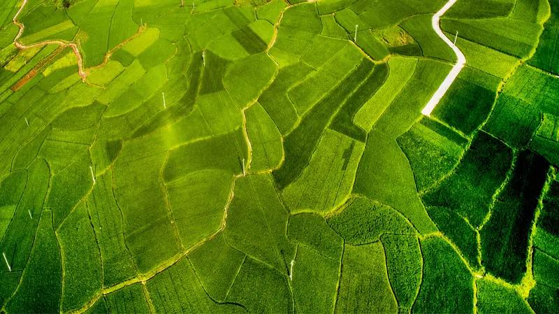看到“雨润大地层层绿”这个下联，我脑子里立马就开始琢磨合适的上联。下联描绘了雨滋