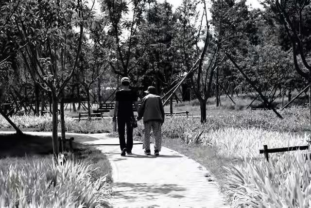 我的父亲传授给我人生哲理，他说在社会上，道德品行应置于首位，同时还要怀有一颗善良