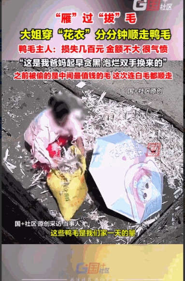 “必须严惩！”8月10日，广西玉林，一女子回家时，发现父母晒在路边的鸭毛不见了，