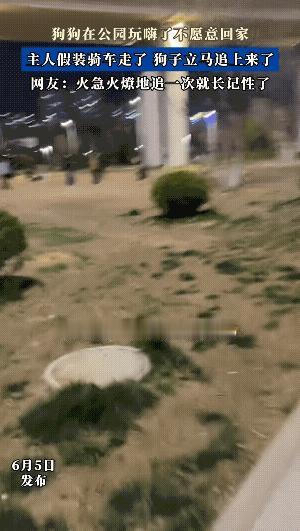 "急眼了！"主人骑上电动车拧头就走，刚才还趴在草丛里闻个不停的狗，一眨眼拔腿猛追