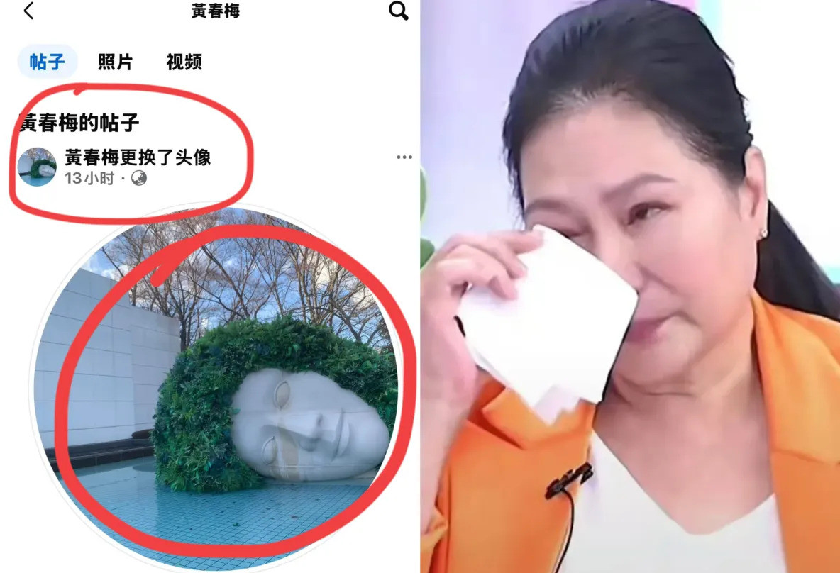 大S妈妈头像换成悲伤图案大S妈妈，你到底在搞什么？！之前