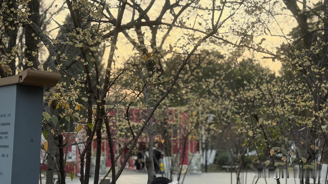 人还是要少吃，少吃，少吃。保持一个相对轻盈的体重，对身体健康是一方面。但让我