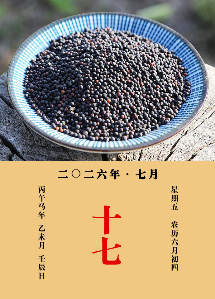 每天一味中草药《名医别录》载：王不留行，止心烦，鼻衄，痈疽，恶疮，瘘乳，妇人难
