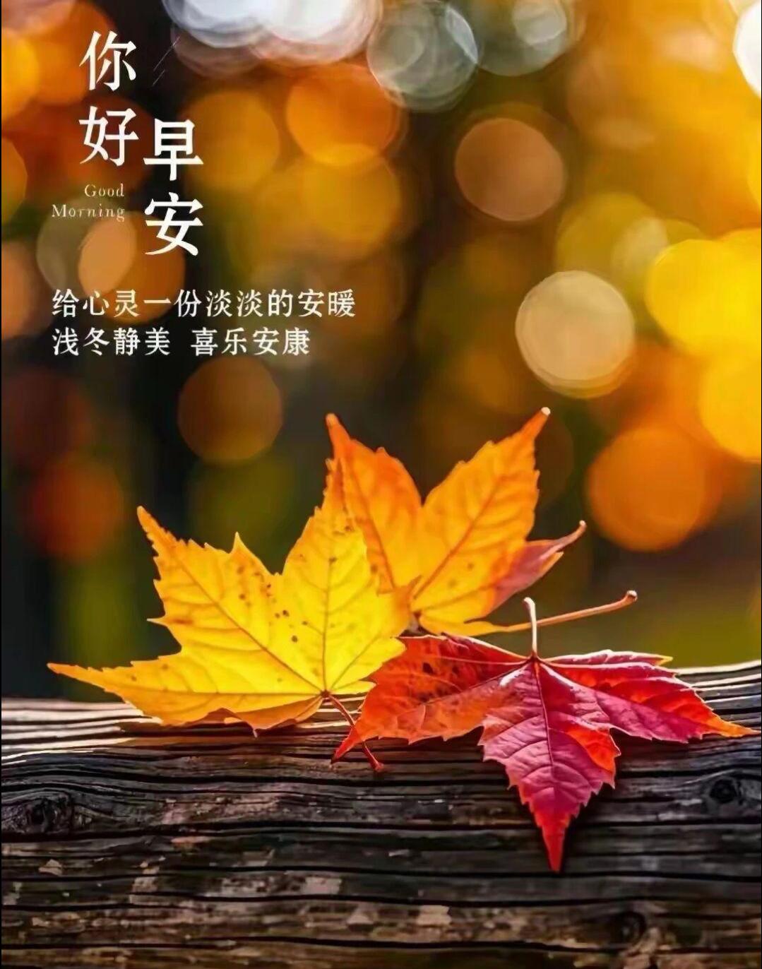 让清风带走疲惫，让问候点燃活力，愿你在每一个清晨醒来，都能拥抱崭新的自己，心怀感