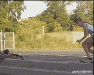 搞笑GIF: 妹子登高拍风景, 奈何大风不正经