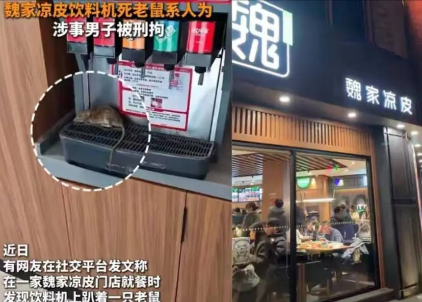 西安魏家凉皮老鼠事件有后续了！网络视频里一只死老鼠趴在饮料机上，谁看了不恶心