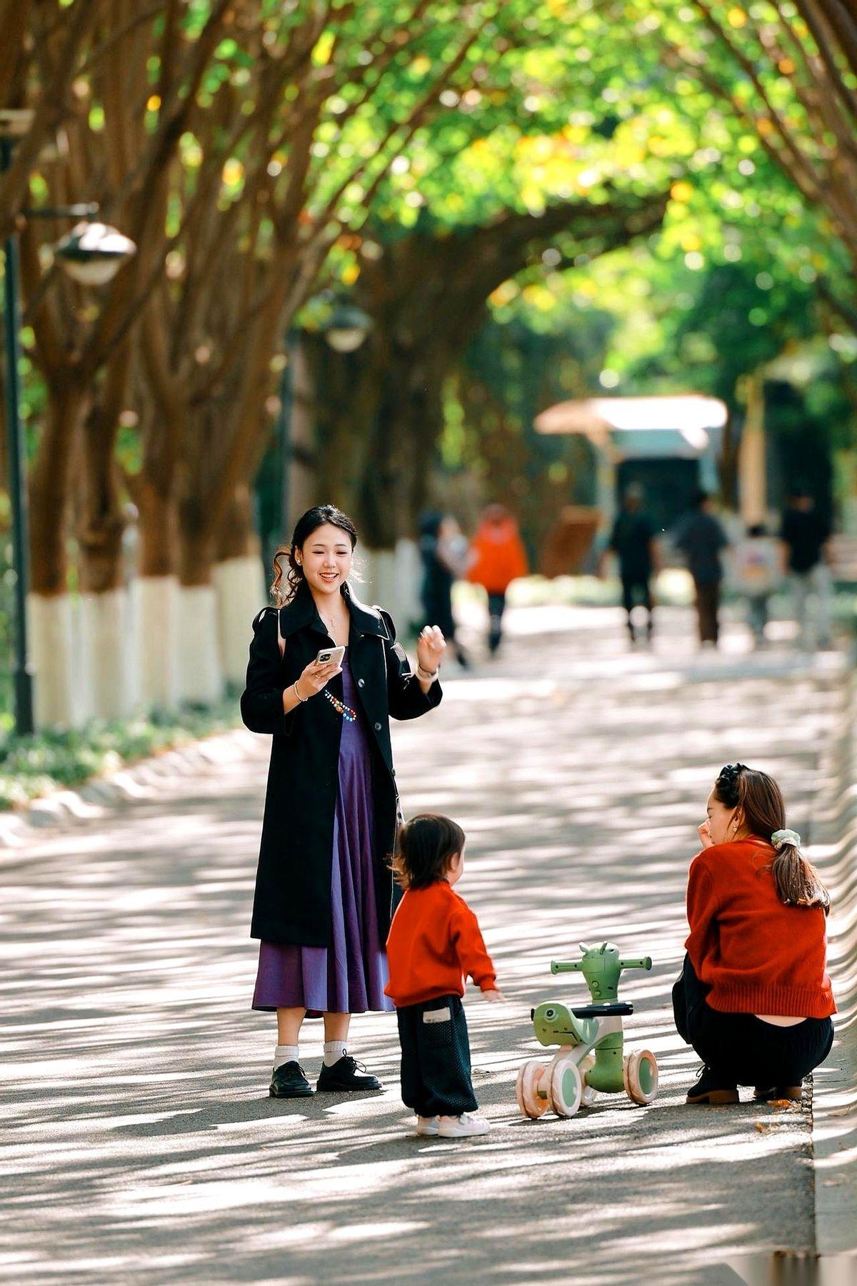 都说这是西昌的“阿勒泰”。我刚去完，差点没笑出声。就一条窄窄的小路，两排刺桐