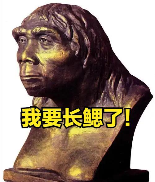 北京人要进化出鳃了？这潮热天气太反常！最近，北京的天气简直热出了新高度，还潮湿