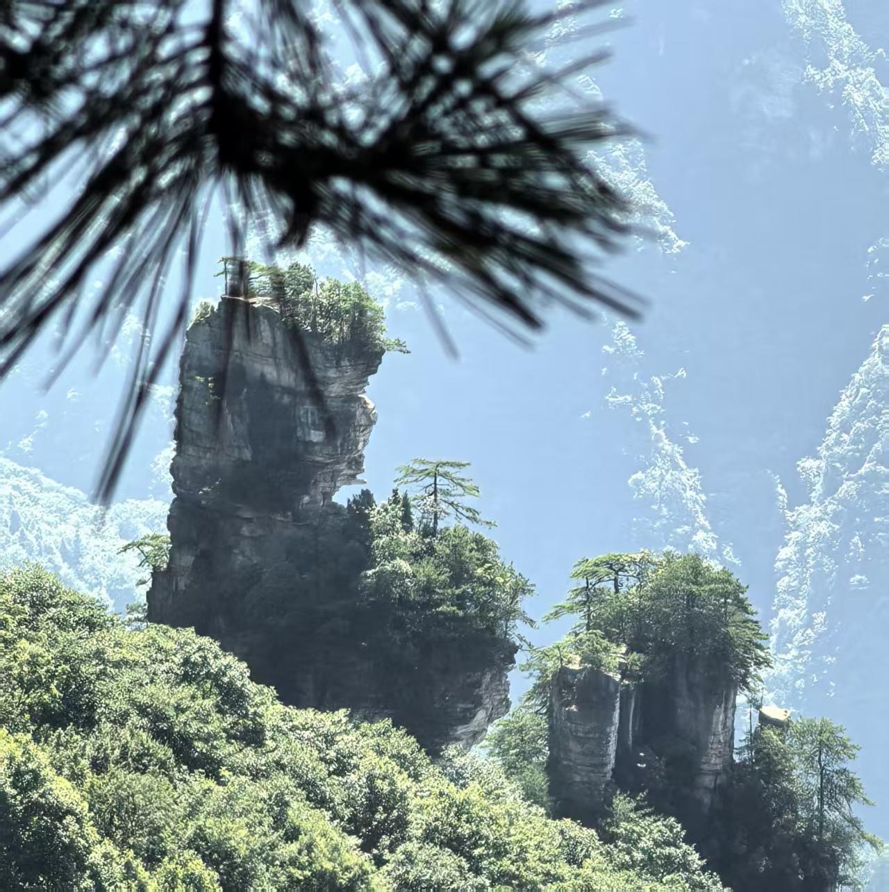 国内的景区有没有值得二刷的？去年暑假去了重庆，今年刚张家界回来，感觉就是景区一般