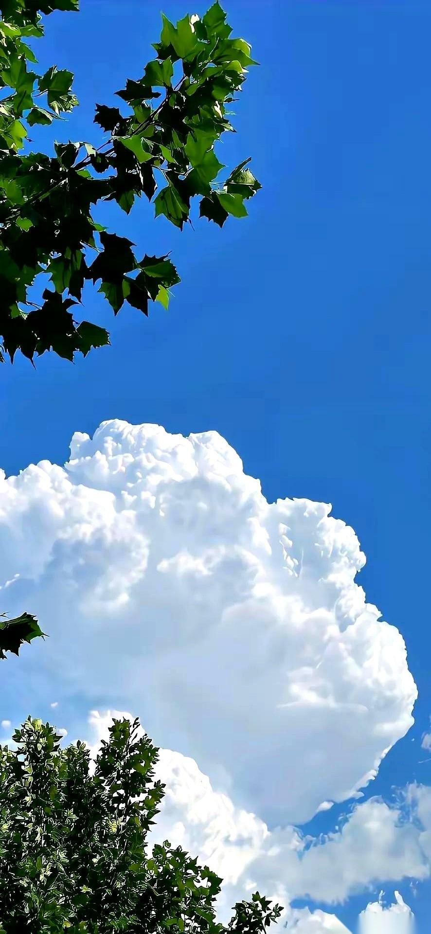 三年了。我一姐们说，她跟她老公，已经三年了。现在手不小心碰到一下，都跟触电似