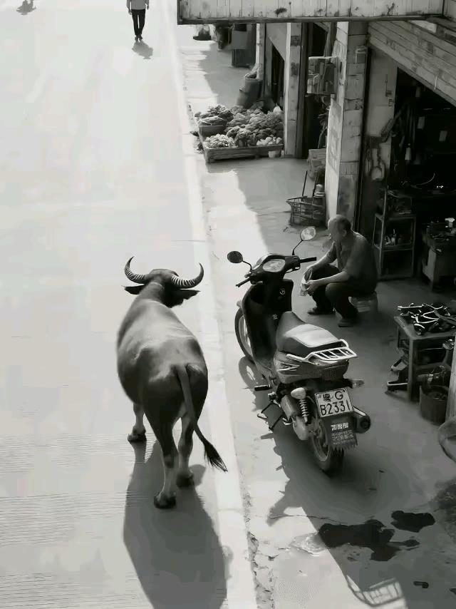 没有脑子的AI，确实可恨