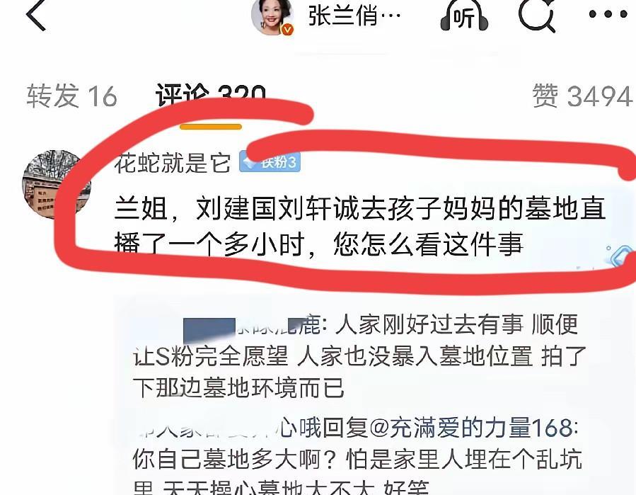 太逗了张兰是什么样子的人啊，走南闯北的哪能入这样的坑啊……竟然还有网友跑到张