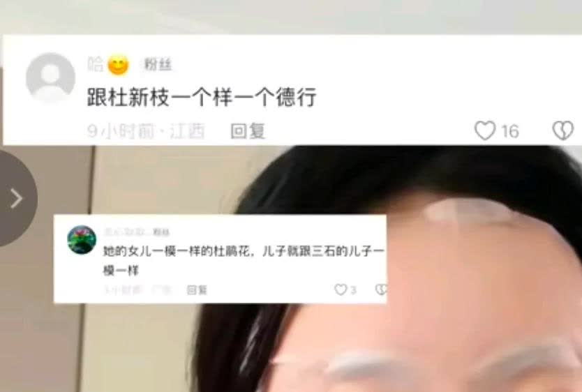 田静说长得像很正常，长得像不代表就有关系，声音像也很正常，毕竟都在驻马店住，但仅
