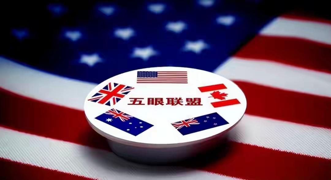 弃韩投中！新西兰砸6亿学费后，把订单交给中国6.71亿新西兰元（约30亿人