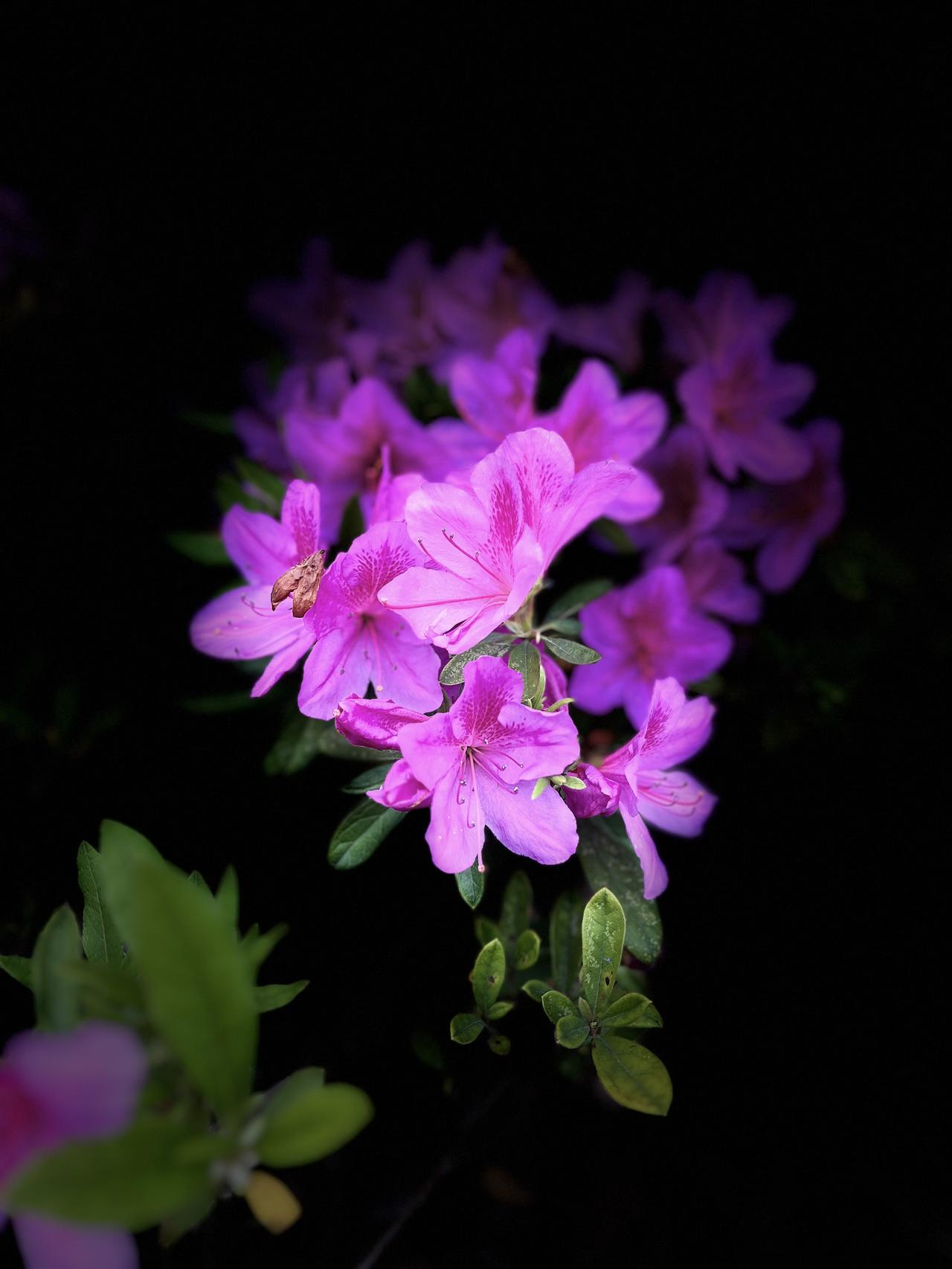 别再交养生智商税了，真正顶用的法子全在你眼皮底下，还不要钱。我试过上千块的补