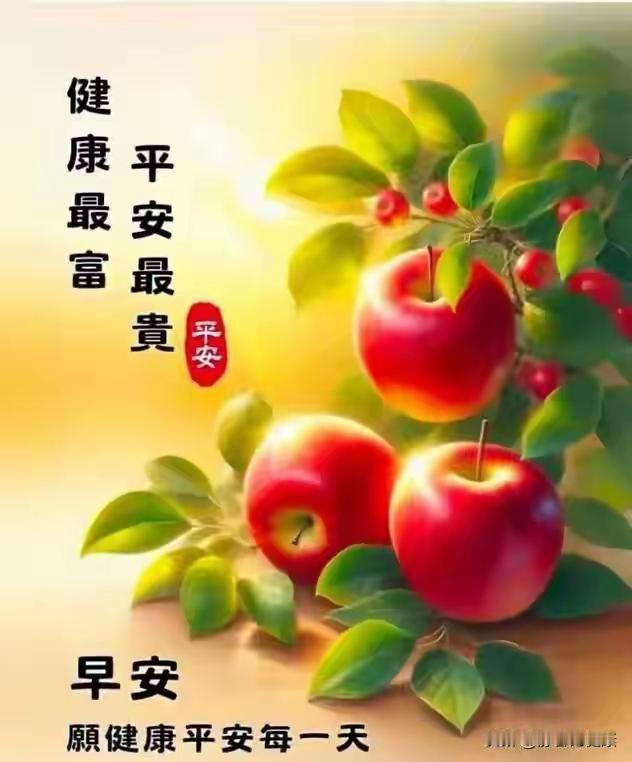 八月的风，携着初秋的气息扑面而来☀️不必追逐盛大的美好，只愿日子安稳自在。