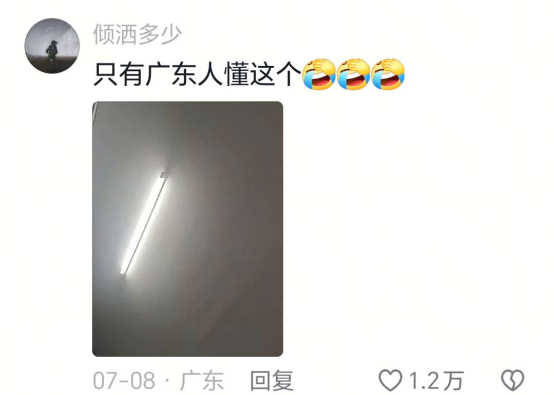 只有广东人懂这个