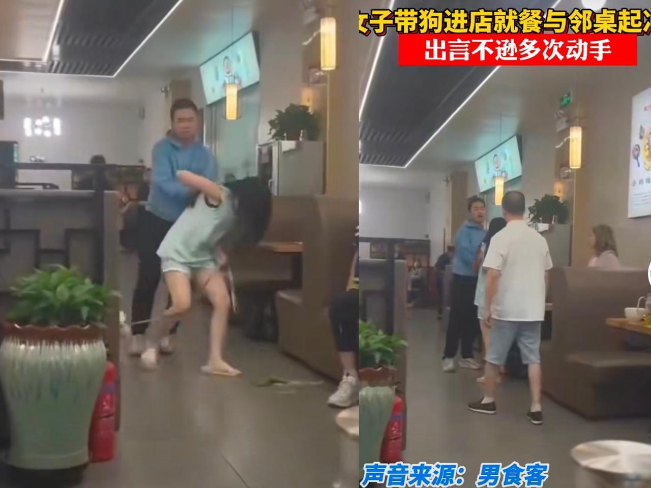 带狗进餐厅互殴宠物自由岂能凌驾于公共规则之上？西安一女子带狗进餐厅就餐，