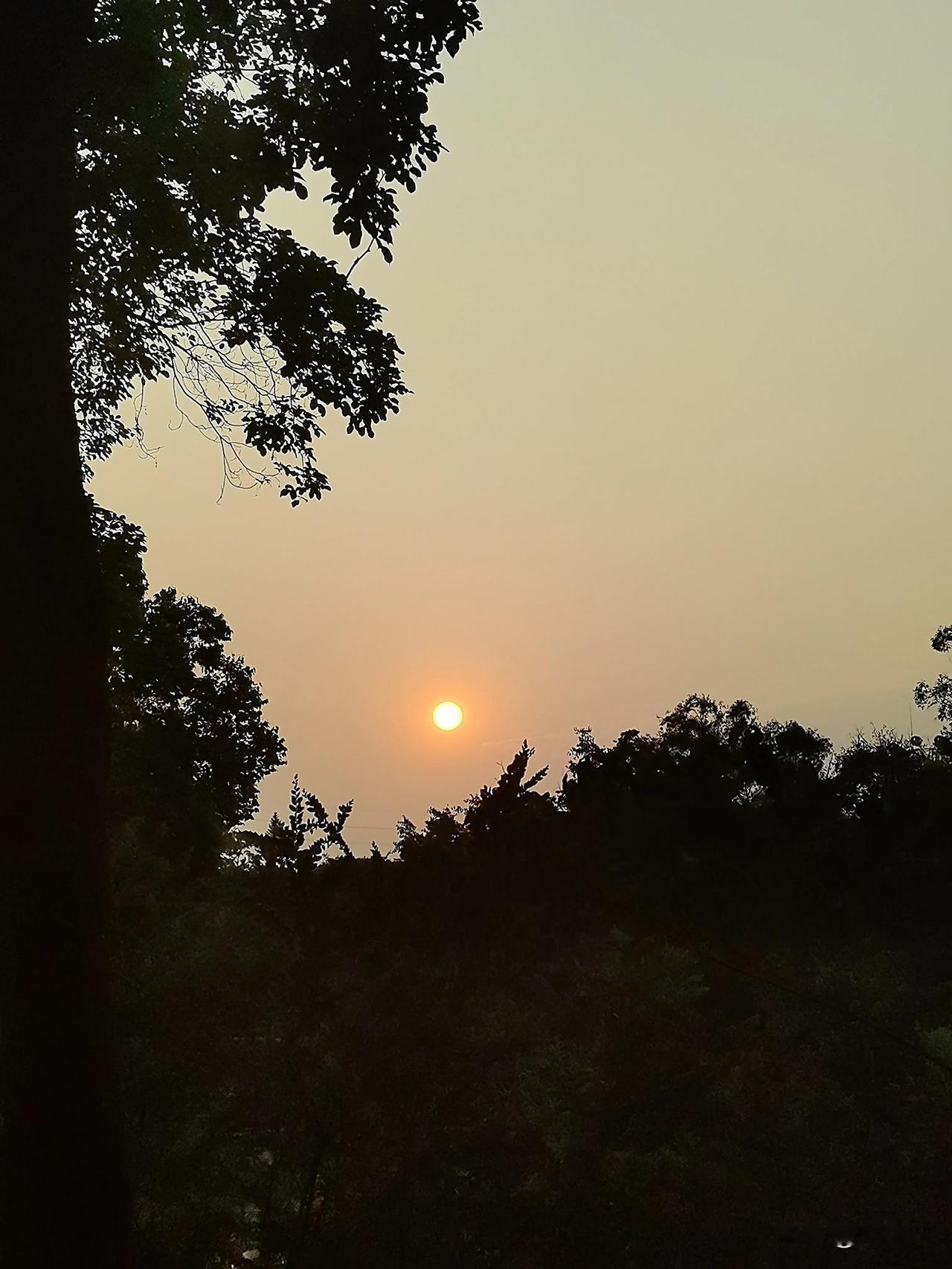 有以下十种症状，就得服老！1.打电话要开免提2.手机字