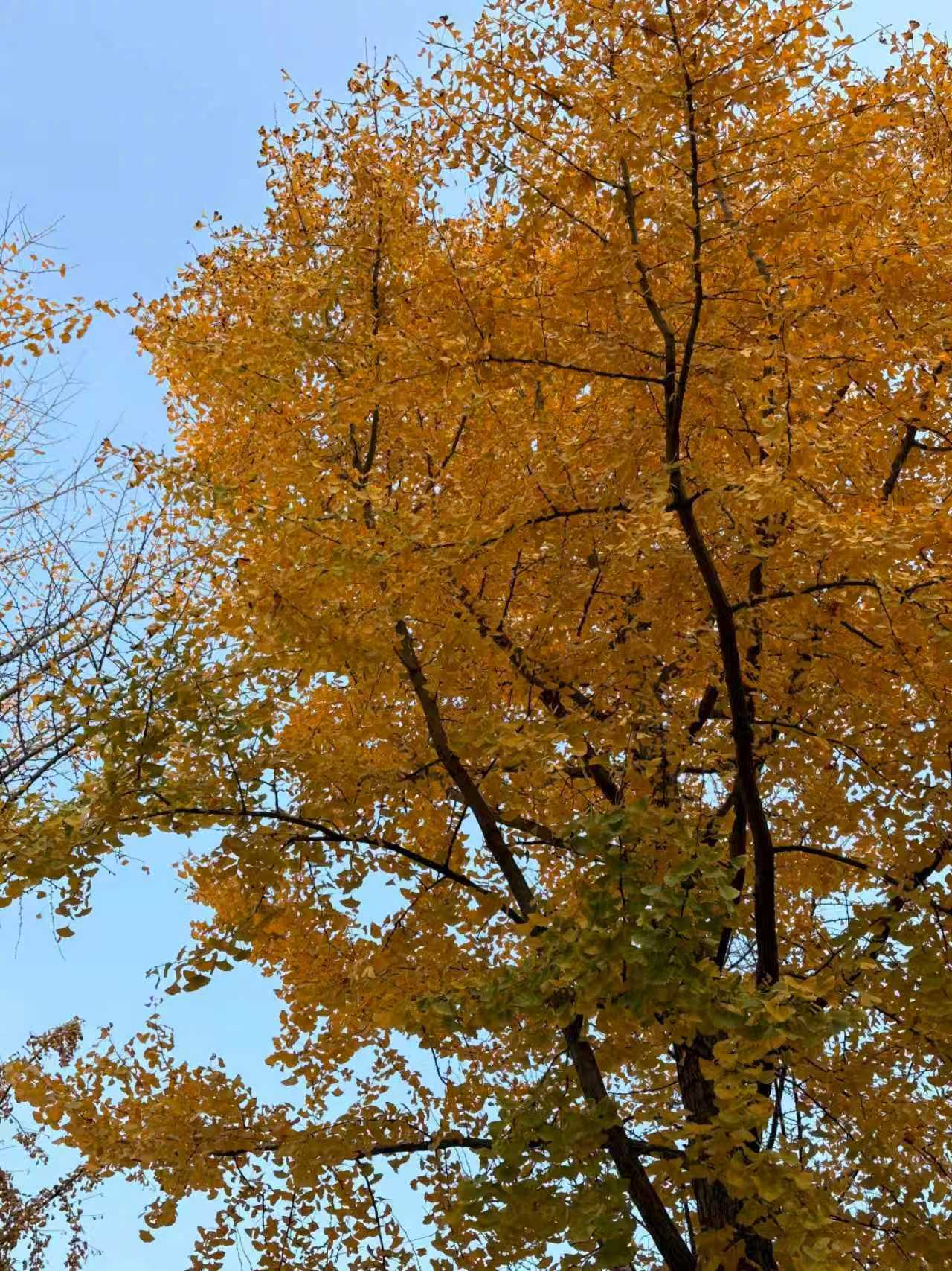 不赶时间的松弛瞬间