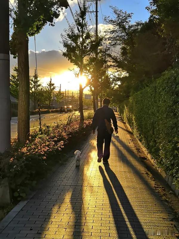 人这一辈子，就三件事，办完就收工。​第一件，把生我的人送走。他们养我小，我养