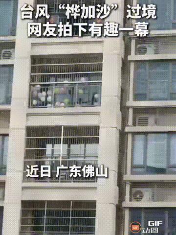广东佛山一户人家在台风桦加沙登陆时，把十几个气球放在阳台，随着台风到来，气球被风