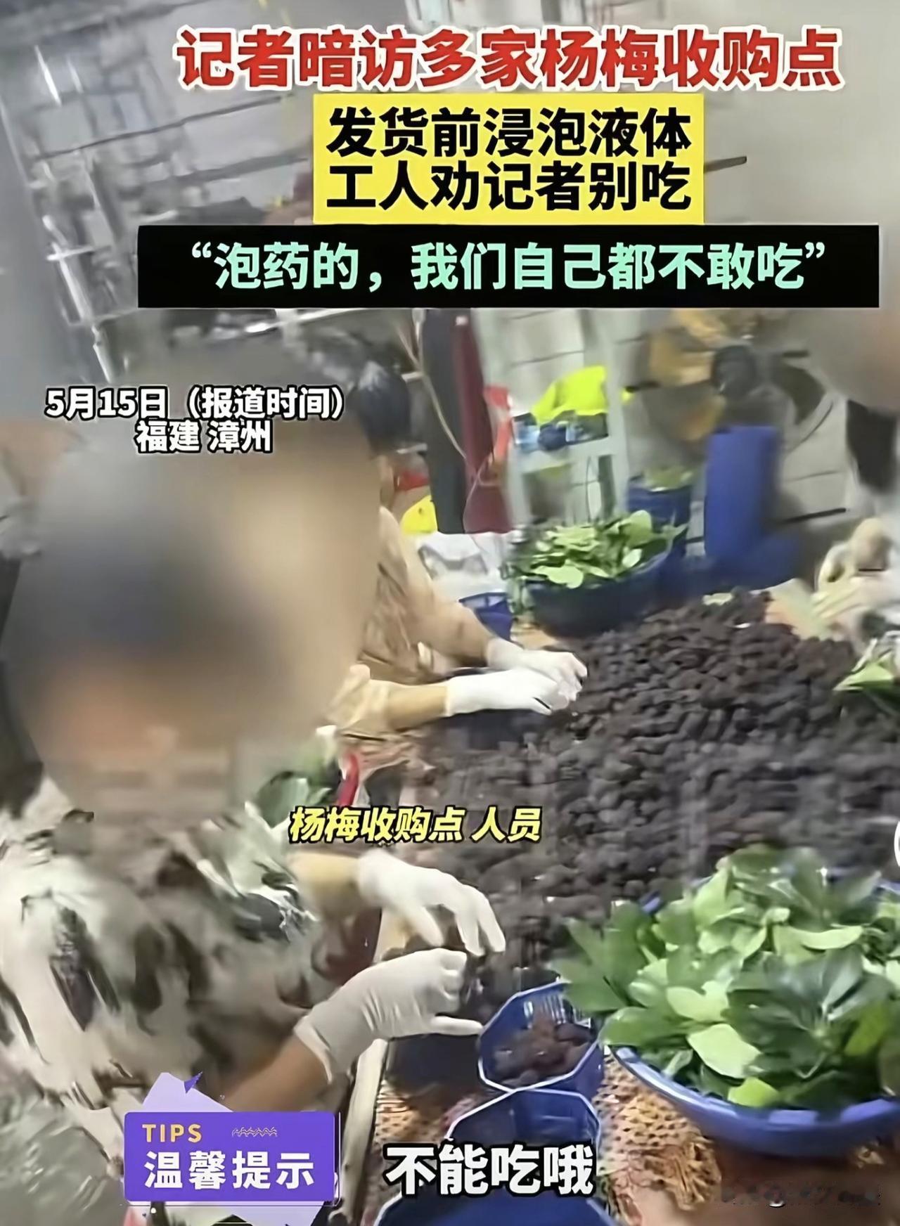 触目惊心的乱象！用药水浸泡杨梅，他们自己都不敢吃：不是被逼无奈，而是侥幸逐利铤而