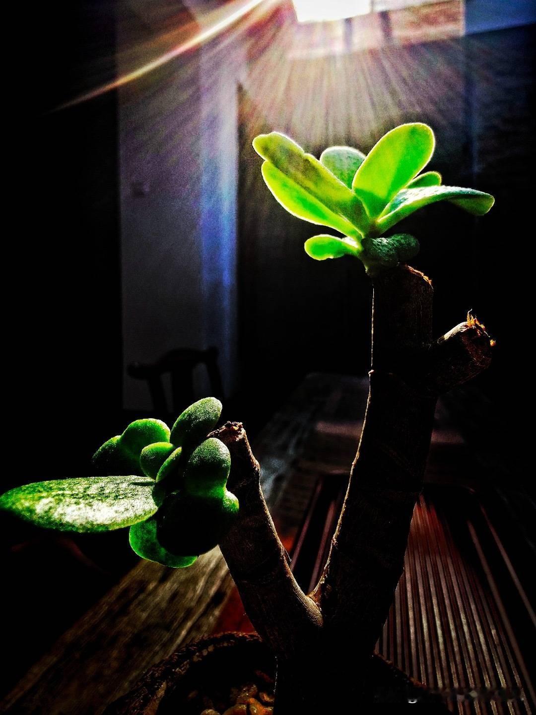 体制内工资最低的地方，是东北三省、河南、河北、陕西、山西等省下面的小县城。这些