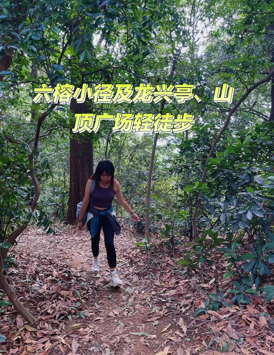 🍂🌳霜降の六榕小径|地铁直达🚇含氧量十足“秋将尽露生霜”秋天最后一