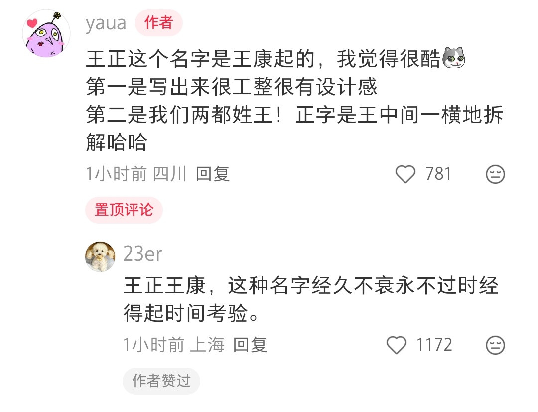 哈哈哈不过王正这个名字感觉还挺好，好写好记