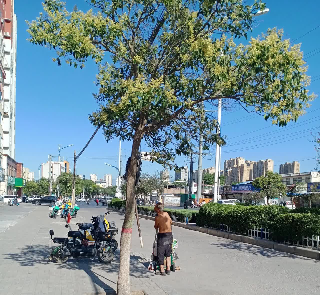这个爷爷一定是个可怜人，大中午40度的高温，无处可去，随手拉着一辆小车，
