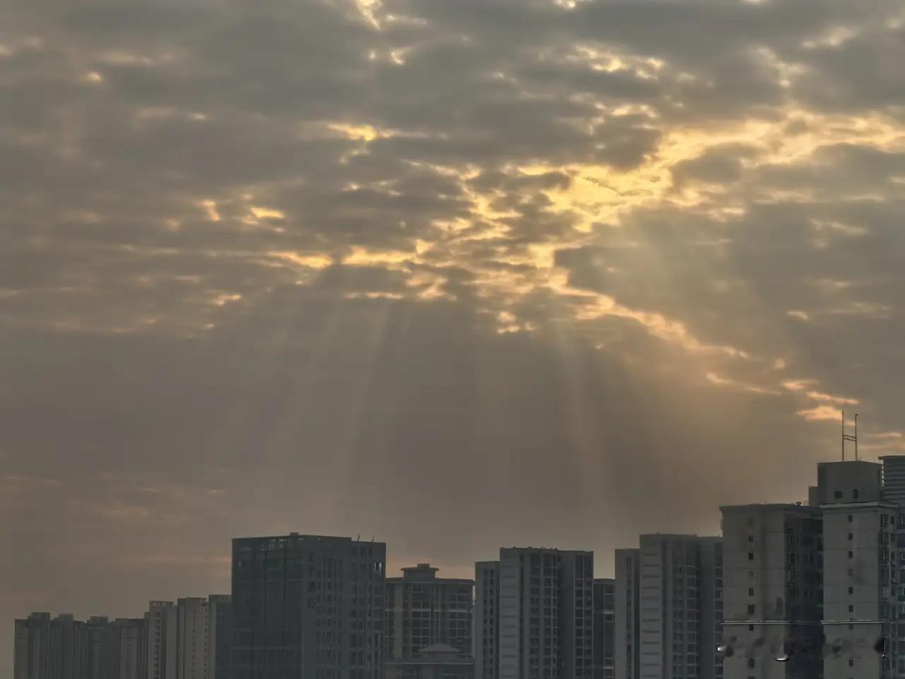 人走了钱还在，却连安葬费都做不了主:不婚不育的终极惩罚？！！！上海46岁独身女