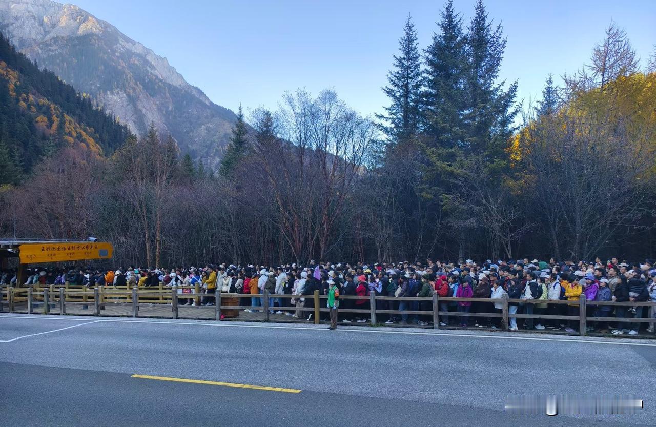 九寨沟近期真心建议放弃左线！11月8日九寨沟又冲4万客流，彩林旺季的人潮直接