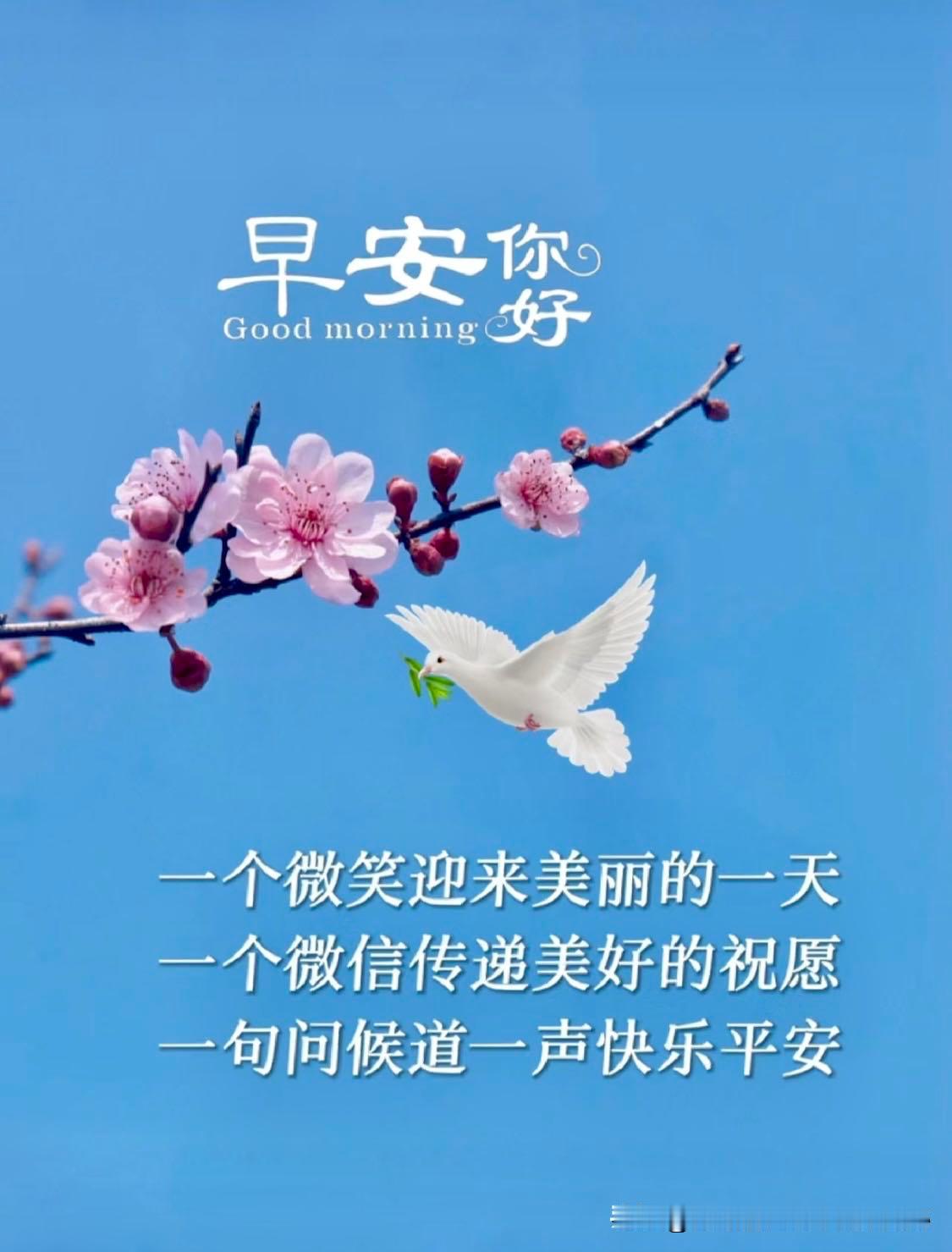 早安！开心每一天！美丽的桃花园，古色古香的亭子，繁盛的桃花盛开，细腻的枝叶和花瓣